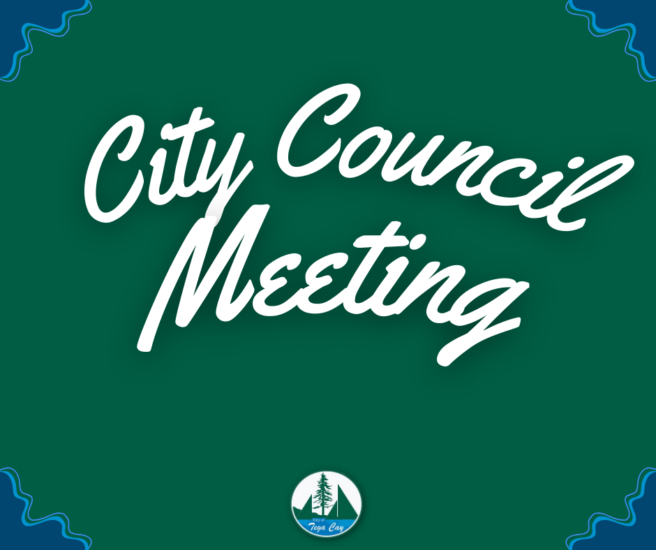 Copy of City Council Recap